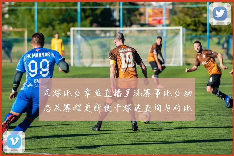 足球比分章鱼直播呈现赛事比分动态及赛程更新便于球迷查询与对比
