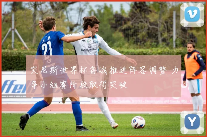 突尼斯世界杯备战推进阵容调整 力争小组赛阶段取得突破