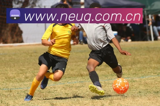 App Interface Preview