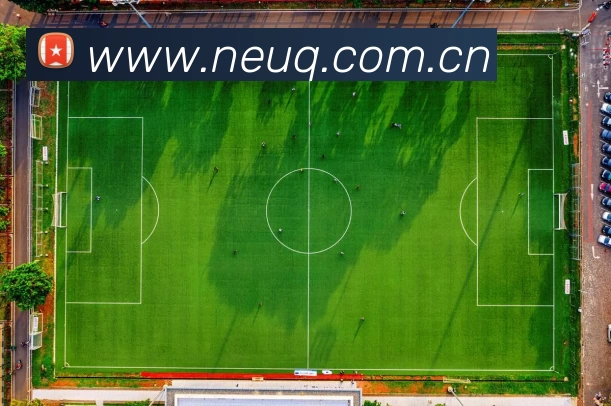 leyu乐鱼中国官方网站入口APP 封面图